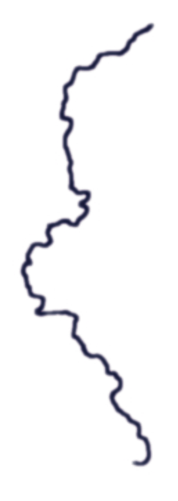 Memory Shape